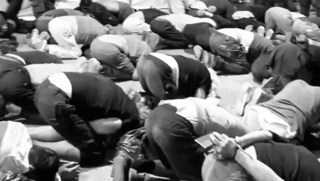 Fermo immagine tratto da video di pubblica utilità / Uso giornalistico ex art. 65 Legge sul Diritto d'Autore