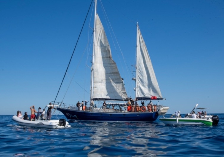 Nuova Flotilla per Gaza